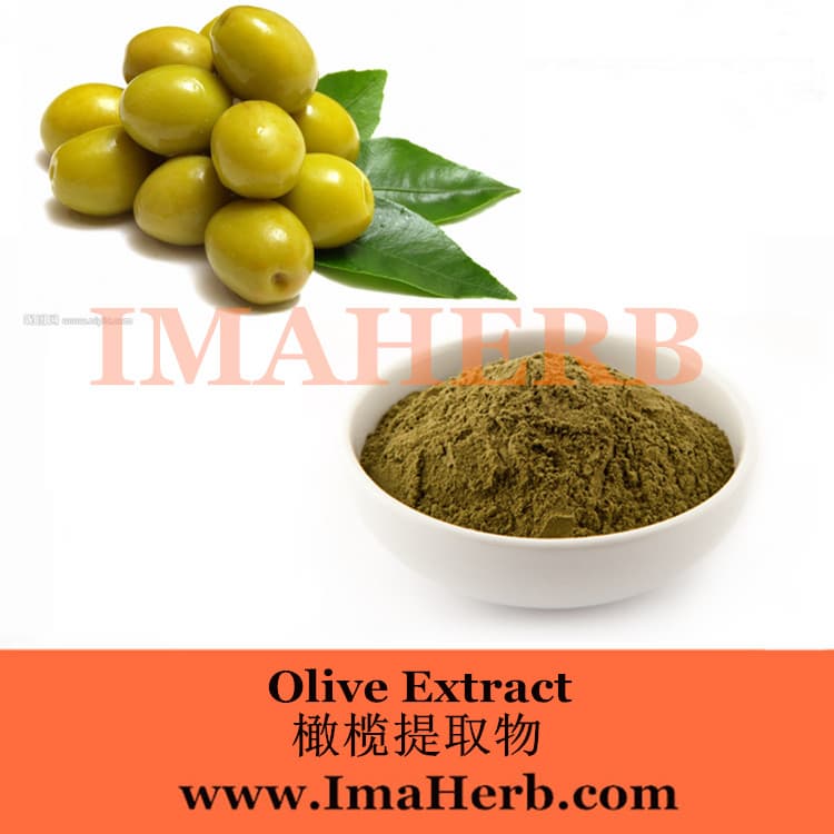 100_ Nature Organic olive leaf extract  20_40_ oleuropein